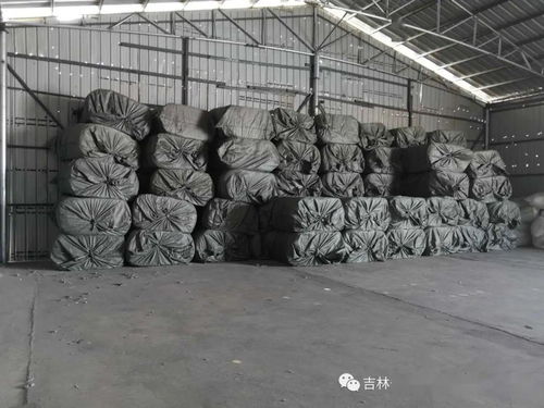 大干一百天 系列報道之十七